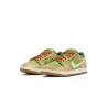 Basket Casual Homme NIKE SB DUNK LOW PRO WC FQ7585-200 - NIKE