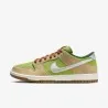 Basket Casual Homme NIKE SB DUNK LOW PRO WC FQ7585-200 - NIKE