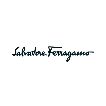 Lunettes de Soleil Homme Salvatore Ferragamo SF145S-108 - salvatore ferragamo