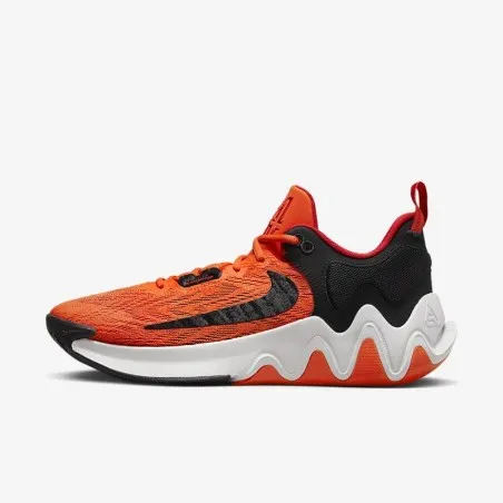 Chaussures de sport Homme GIANNIS IMMORTALITY 2 DM0825800 - NIKE