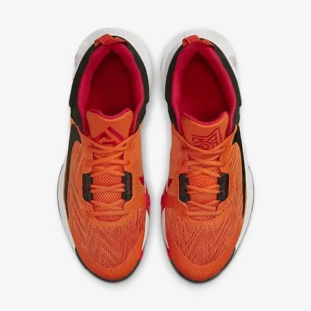Chaussures de sport Homme GIANNIS IMMORTALITY 2 DM0825800 - NIKE