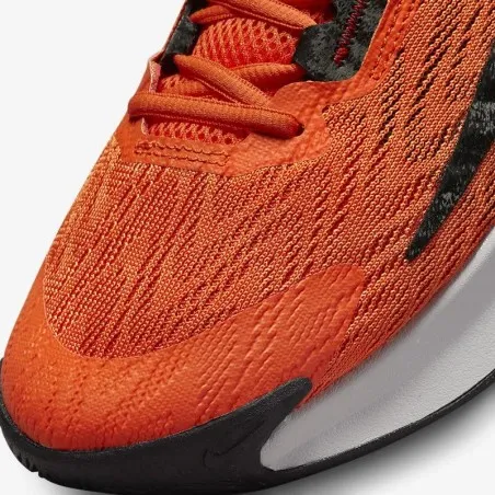 Chaussures de sport Homme GIANNIS IMMORTALITY 2 DM0825800 - NIKE