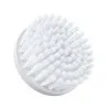 BRAUN - SE80-m Brosses Braun Face Edition Bonus (Pack de 4) - BRAUN
