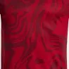 T-shirt manches courtes lion ii rouge - JOMA