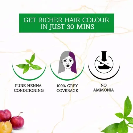 Dabur Amla – Teinture Capillaire Au Henné Vatika Naturals Prune - Dabur Amla
