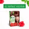 Dabur Amla – Teinture Capillaire Au Henné Vatika Naturals Bourgogne - Dabur Amla
