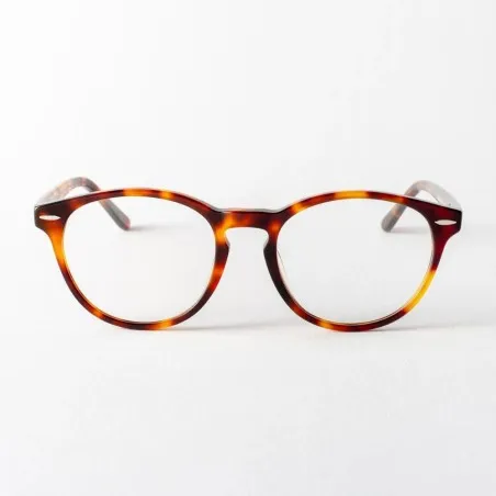 Lunettes de Soleil Homme ALBERTO RICCI  50030972 - ALBERTO RICCI