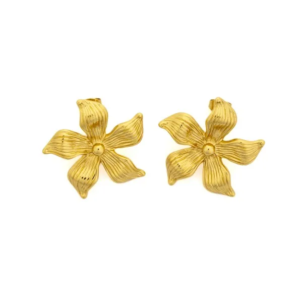 Boucle d'oreille Femme Unbranded  KR6195 - Unbranded
