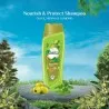 Vatika – Shampooing - VATIKA