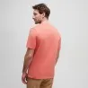 T-shirt Homme TIMBERLAND ESTABLISHED 1973 EMBROIDERY LOGO TEE BURNT SIENNA-APP TB0A6SE1EI41 - TIMBERLAND