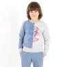 Sweat garçon bi couleur FRIENDS AND FAMILY - KONTAKT