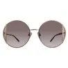 Lunettes de Soleil Femme ANA HICKMANN AH3192 - Ana Hickmanni