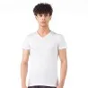 T-shirt homme col V en coton pur - KONTAKT