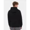 Sweat à capuche Homme M DREW PEAK PULLOVER HOODIE - EU - THE NORTH FACE