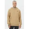 Sweat à capuche Homme THE NORTH FACE M RAGLAN REDBOX HOODIE - EU - THE NORTH FACE