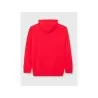 Sweat à capuche Homme CHAMPION Rouge - CHAMPION