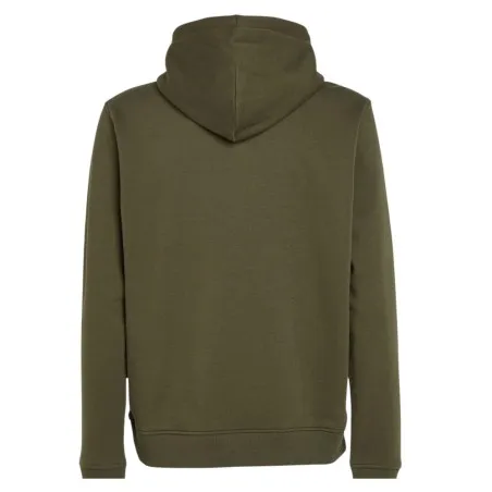 Sweat à capuche Homme TOMMY JEANS REGULAR LINEAR GOLD - TOMMY JEANS