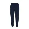 Pantalon Homme TOMMY JEANS REGULAR CREST SWEATP - TOMMY JEANS