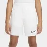Nike – Short Dri-FIT Academy 21 – Blanc/Noir - NIKE