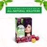 Dabur Amla – Teinture Capillaire Au Henné Vatika Naturals Prune - Dabur Amla