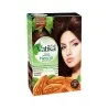 Dabur Amla – Teinture Capillaire Au Henné Vatika Naturals Prune Brun Naturel - Dabur Amla