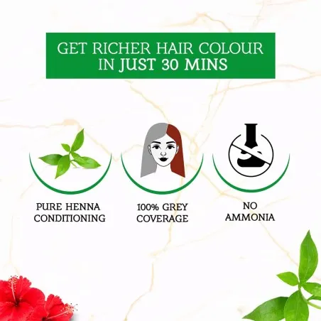 Dabur Amla – Teinture Capillaire Au Henné Vatika Naturals Bourgogne - Dabur Amla