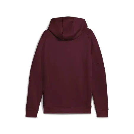 Sweat à capuche Homme PUMA  629674 - PUMA