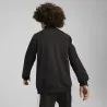 Veste de sport homme PUMA  629875 - PUMA