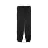Pantalons de Sport Homme PUMA  660291 - PUMA