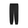 Pantalons de Sport Homme PUMA  660535 - PUMA