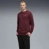 Survêtement Homme PUMA  688178 - PUMA