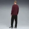 Survêtement Homme PUMA  688178 - PUMA