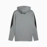 Sweat à capuche Homme PUMA  631529 - PUMA