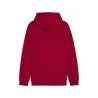 Sweat à capuche Homme PUMA  694753 - PUMA