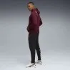 Sweat à capuche Homme PUMA  527702 - PUMA