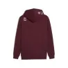 Sweat à capuche Homme PUMA  527702 - PUMA