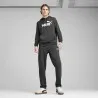 Pantalons de Sport Homme PUMA  682612 - PUMA
