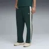 Pantalons de Sport Homme PUMA  629589 - PUMA