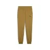Pantalons de Sport Homme PUMA  684713 - PUMA