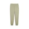 Pantalons de Sport Homme PUMA  684713 - PUMA