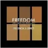 FREEDOM PRO CONCEAL PALETTE - FREEDOM