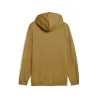 Sweat à capuche Homme PUMA  684718 - PUMA