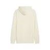 Sweat à capuche Homme PUMA  684719 - PUMA