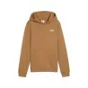 Sweat à capuche Enfant PUMA  685825 - PUMA