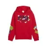 Sweat à capuche Enfant PUMA  688980 - PUMA