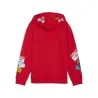 Sweat à capuche Enfant PUMA  688980 - PUMA
