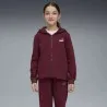 Survêtement Enfant PUMA  689729 - PUMA