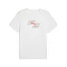 T-shirt Homme PUMA  527575 - PUMA