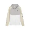Sweat à capuche Homme PUMA  688045 - PUMA