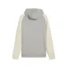 Sweat à capuche Homme PUMA  688045 - PUMA